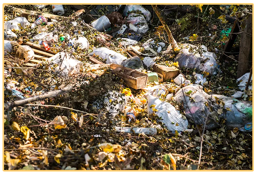 Invest-in-Professional-Services-to-Protect-the-Environment-One-Gallon-at-a-Time Invest in Professional Services to Protect the Environment One Gallon at a Time